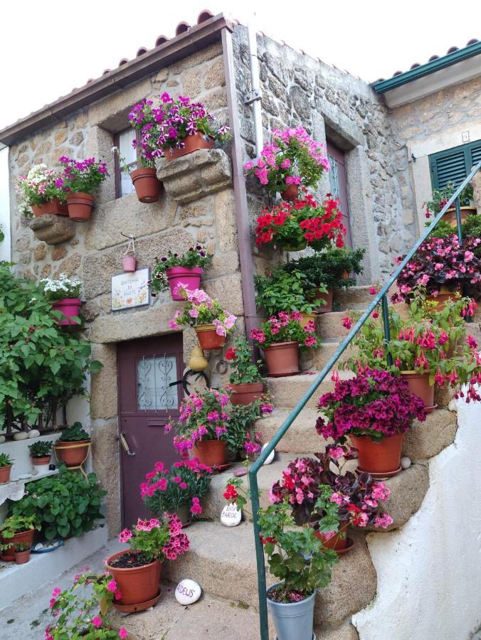 3 Marias Da Fonte Villa Lousa  Exterior photo
